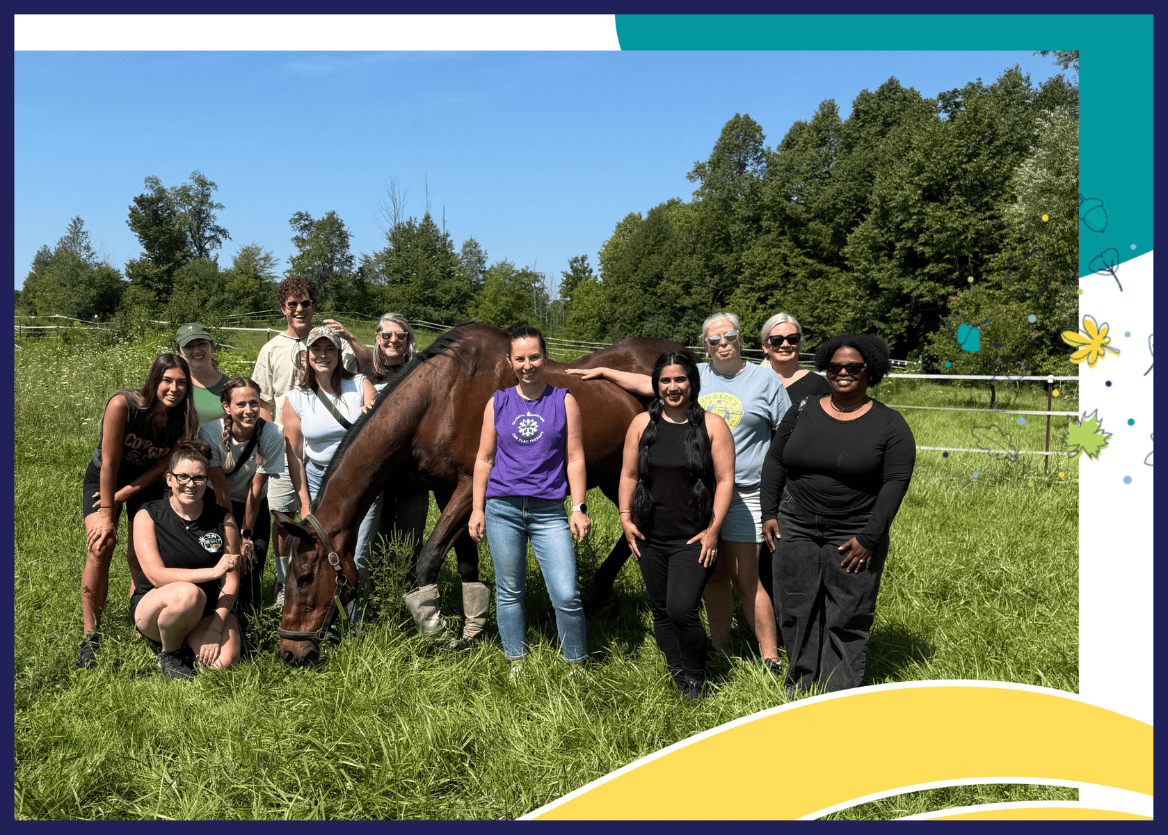 Animal Assisted Psychotherapy Hamilton